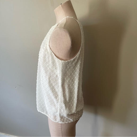 Anthropologie SUNDAY IN BROOKLYN Swiss Dot Blouse Top - Picture 4 of 8